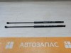 Arkana №2 амортизатор капота