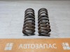 Niva №6 пружина передняя к-кт