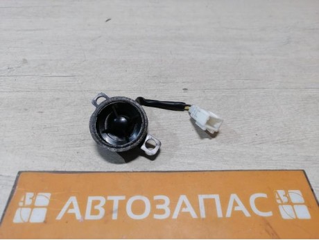 Rio 3 №10 пищалка в дверь