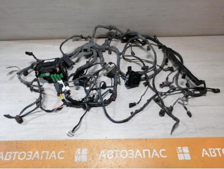 Rio 3 №10 проводка подкапотная двигателя 1,6 мкпп