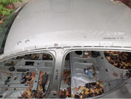 Sandero №17 крыша деф