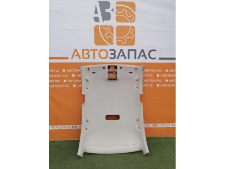 Passat B7 потолок