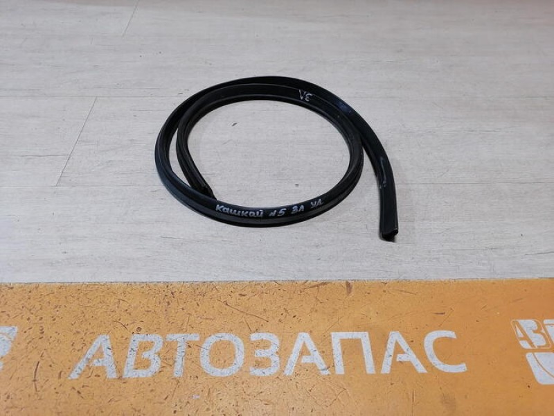 Qashqai №5 уплотнитель двери задний левый боковой