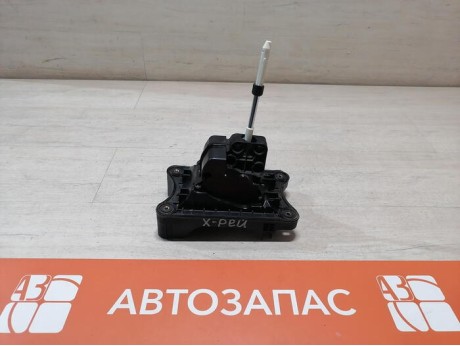 XRay 1 №1 кулиса РКПП
