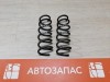XRay 1 №1 пружина задняя комплект
