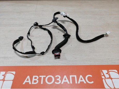 XRay 1 №1 проводка двери задняя левая