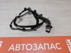 XRay 1 №1 проводка двери задняя правая