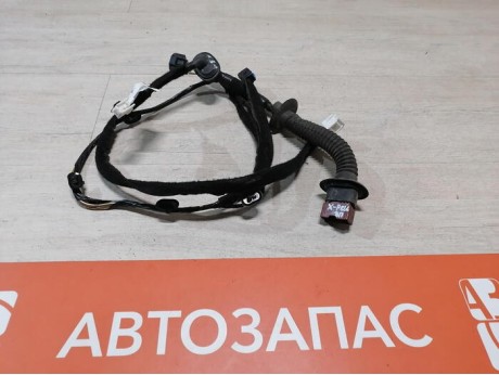 XRay 1 №1 проводка двери задняя правая