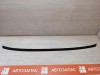 XRay 1 №1 молдинг крыши правый