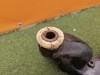 Focus 2 №5 подрамник передний деф