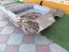 Lacetti №2 панель задняя
