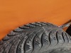 Octavia №3 шина 205/55 R16 Goodyear зима шипы