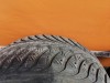 Octavia №3 шина 205/55 R16 Goodyear зима шипы