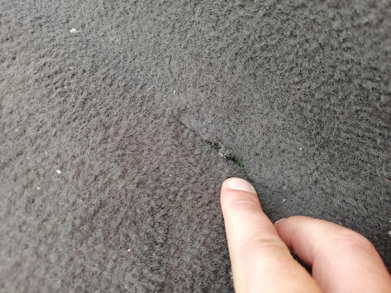 Sonata №1 пол салона