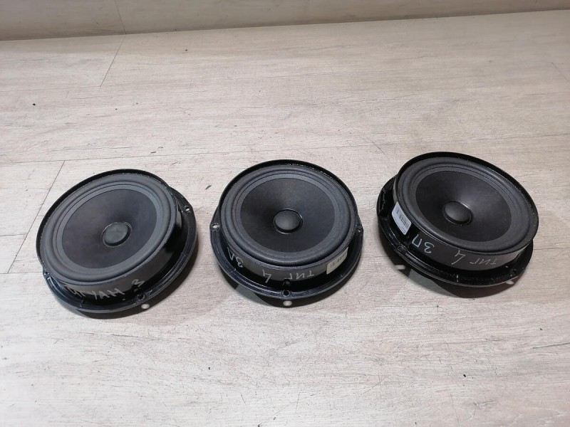 Tiguan №4 динамик задний