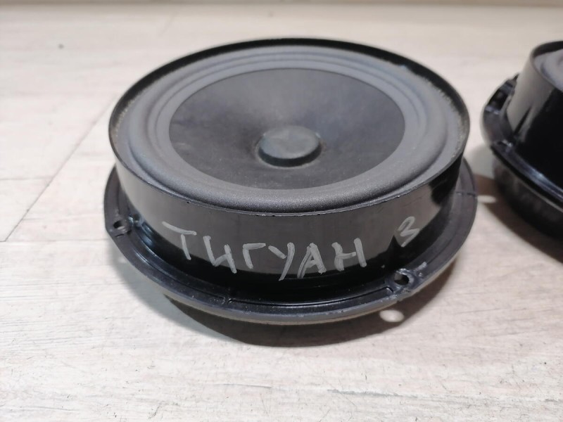 Tiguan №4 динамик задний