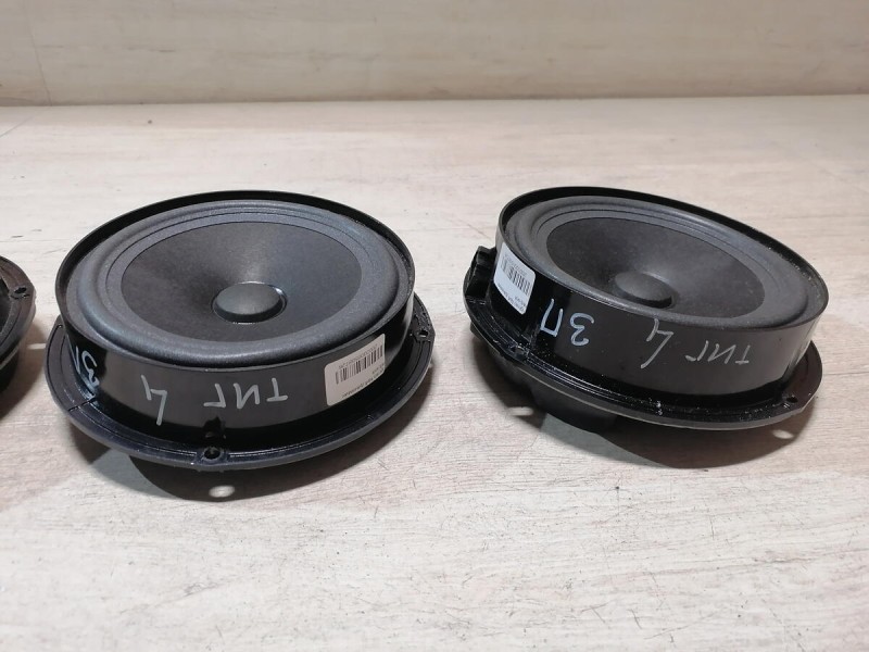 Tiguan №4 динамик задний