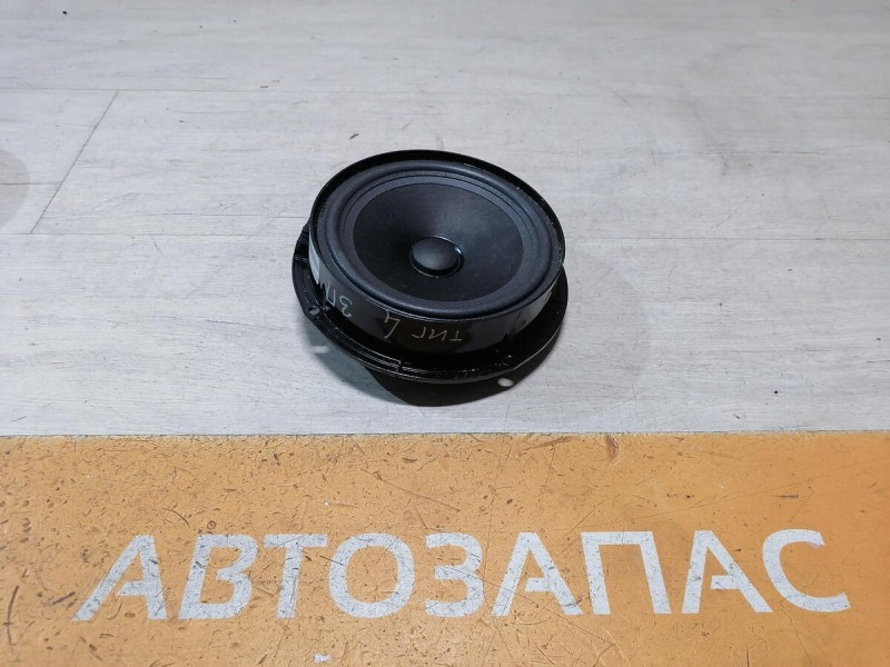 Tiguan №4 динамик задний