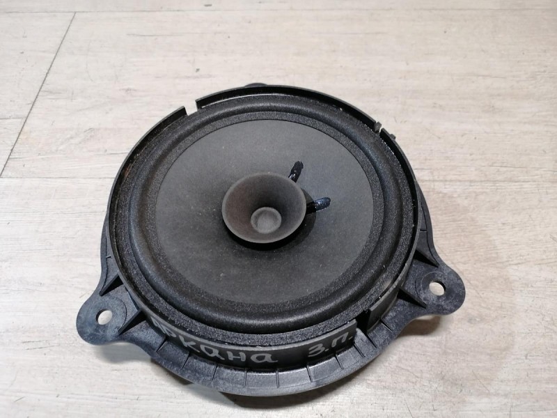 Arkana динамик задний