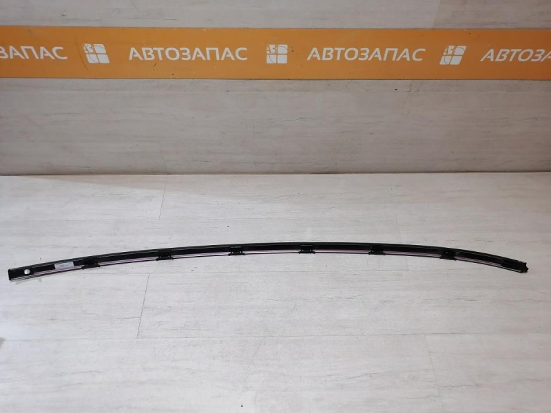 Arkana молдинг крыши левый