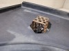 Hover H5 №1 диффузор 2.0 дизель