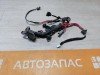 Lexus IS 250 проводка фары красная