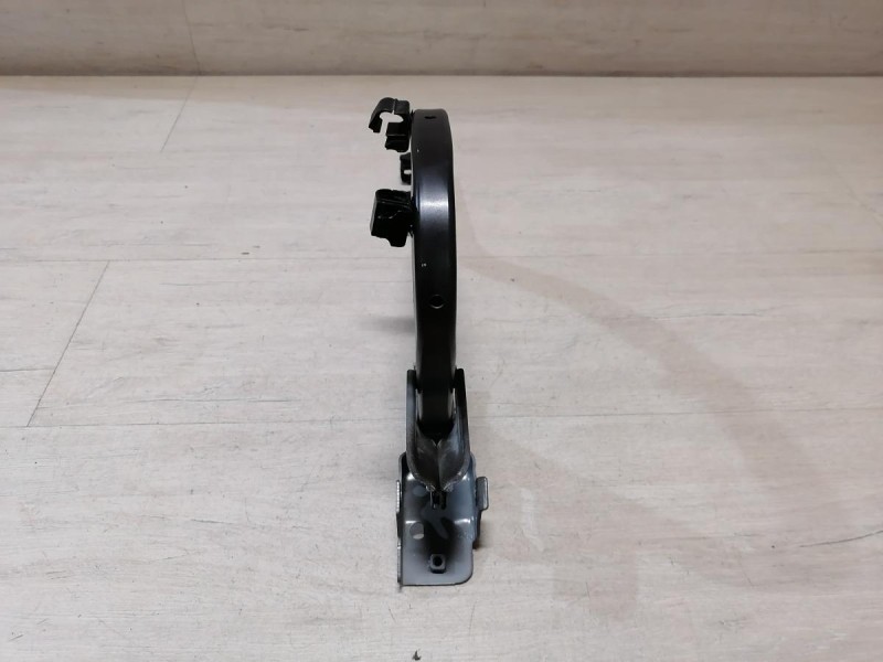 Rio 3 №9 петля багажника левая