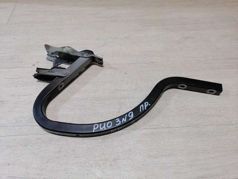 Rio 3 №9 петля багажника правая