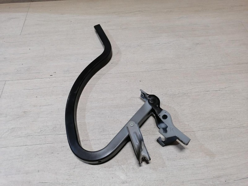 Rio 3 №9 петля багажника правая