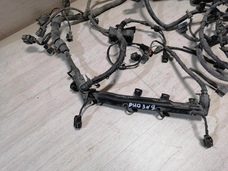 Rio 3 №9 проводка подкапотная двигателя 1.6 мкпп деф без разъема на эбу