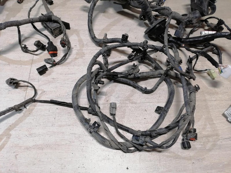 Rio 3 №9 проводка подкапотная двигателя 1.6 мкпп деф без разъема на эбу