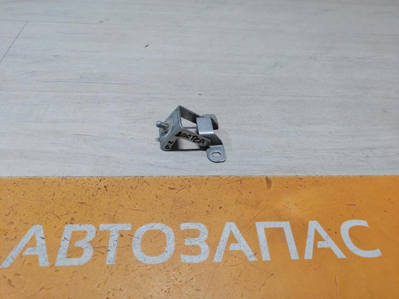 Duster №6 петля багажника