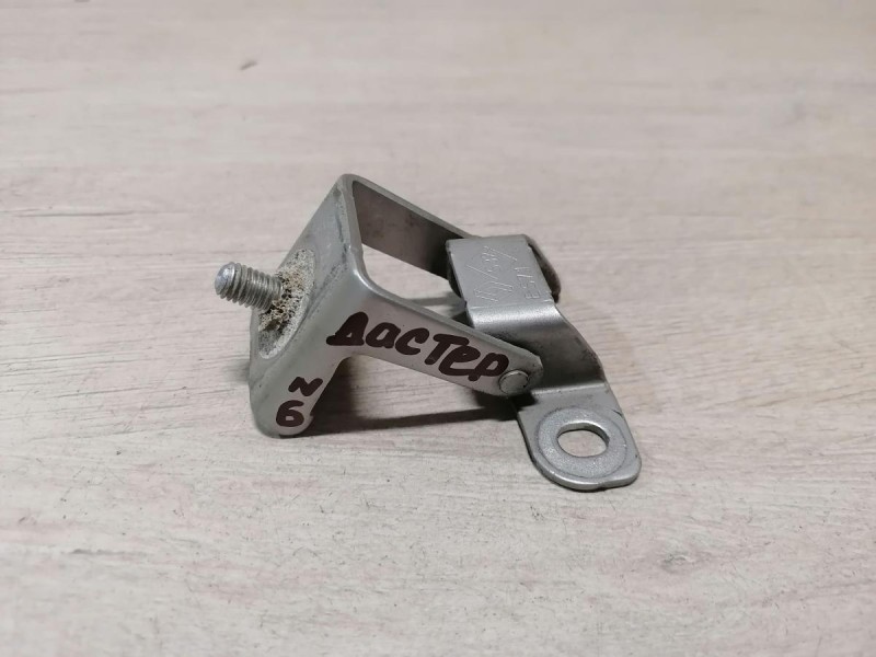 Duster №6 петля багажника