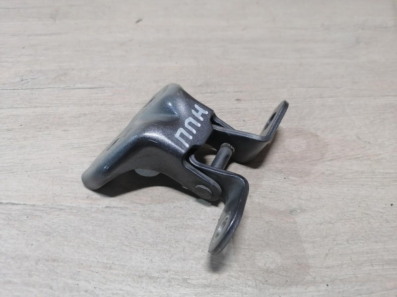 Rio 4 №1 петля двери передняя правая нижняя