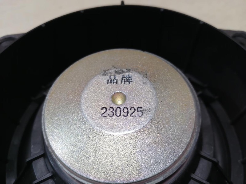 Omoda C5 динамик