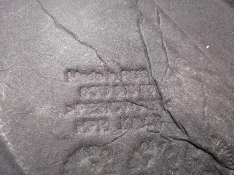 Rapid №2 шумоизоляция капота деф