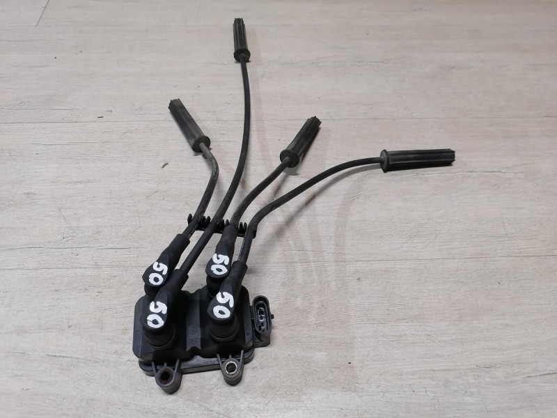 Logan №50 модуль зажигания с бронепроводами