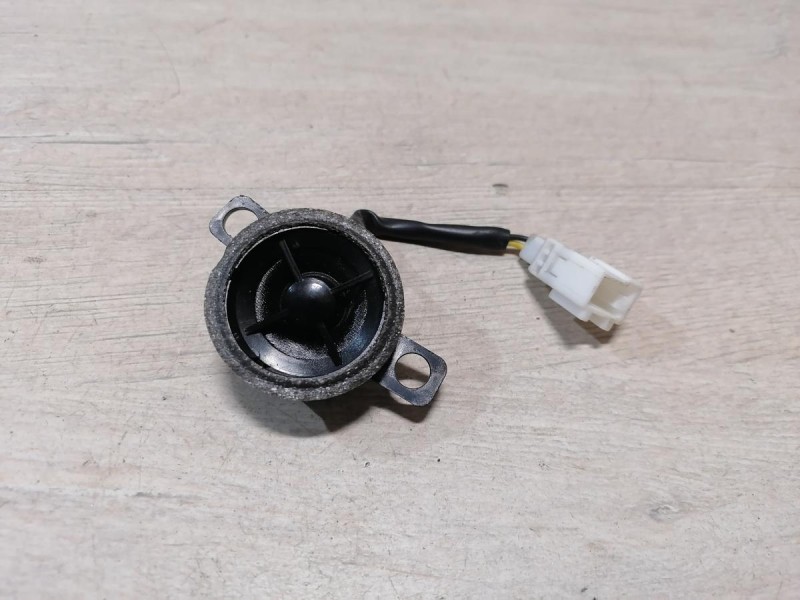 Rio 3 №10 пищалка в дверь