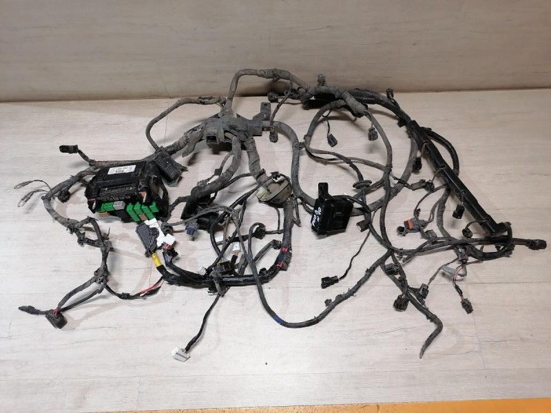 Rio 3 №10 проводка подкапотная двигателя 1,6 мкпп