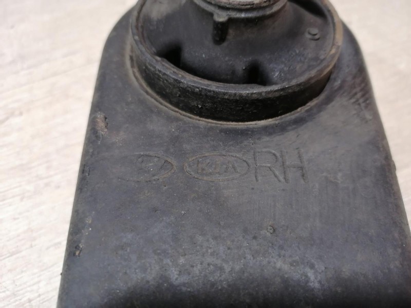 Rio 3 №10 рычаг правый