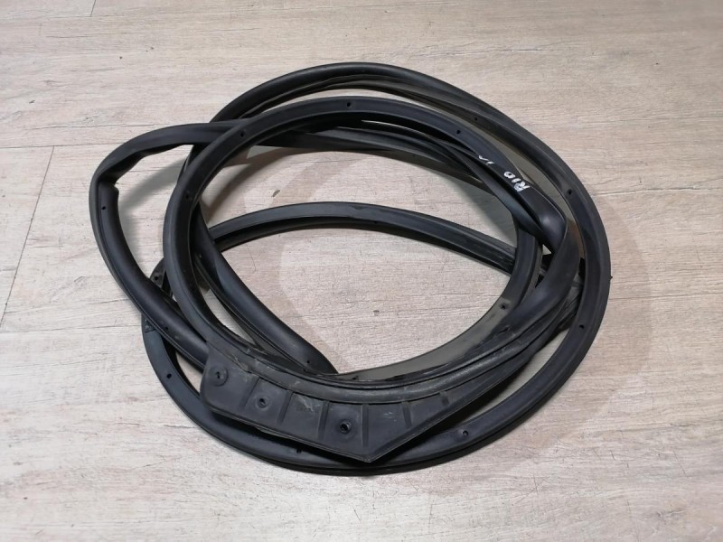 Rio 3 №10 уплотнитель двери передний правый