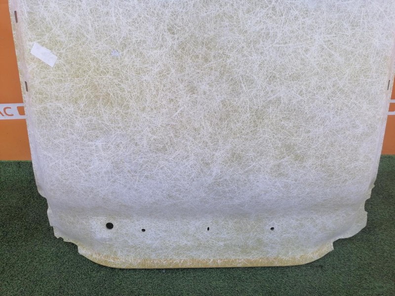 Sandero №17 потолок степвей