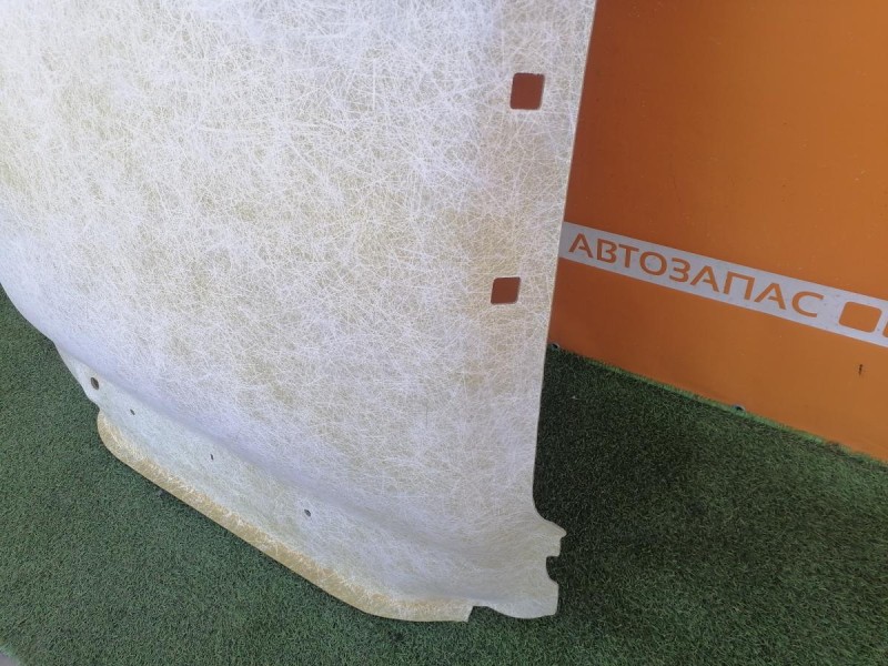 Sandero №17 потолок степвей