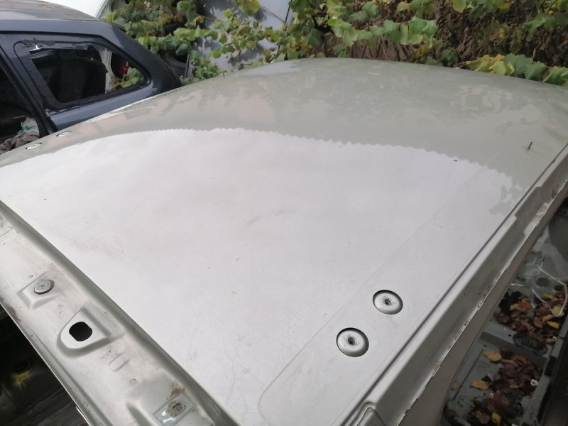 Sandero №17 крыша деф