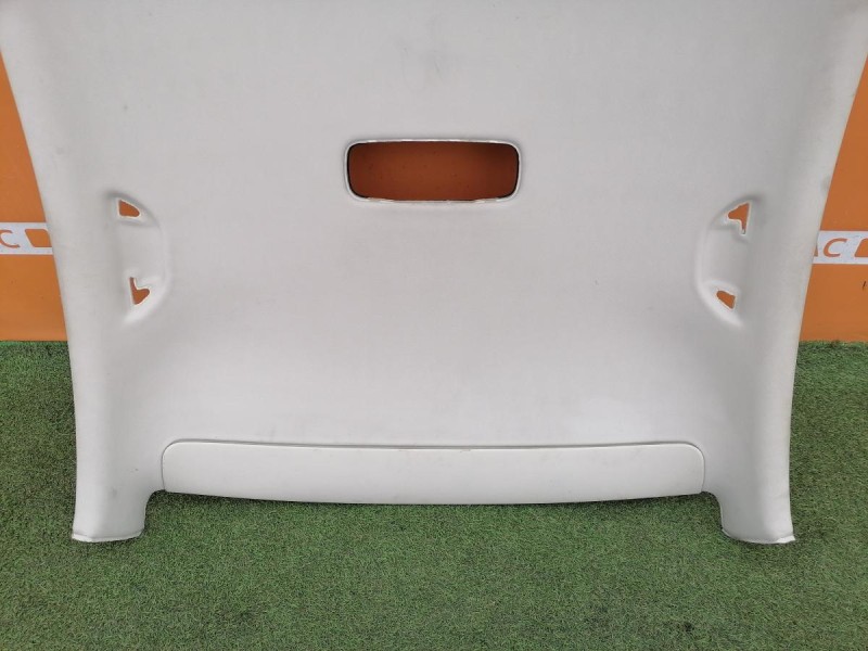 Passat B7 потолок