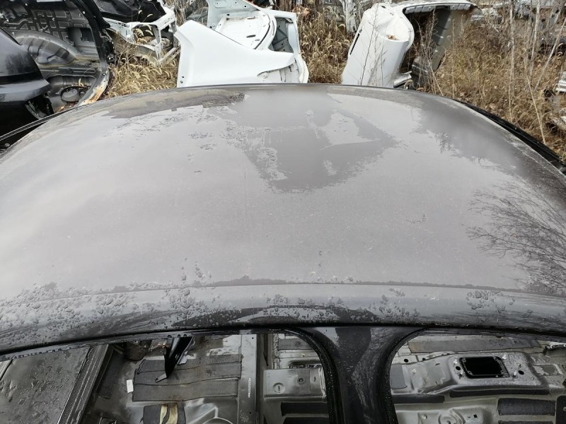 Passat B7 крыша