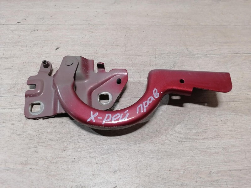XRay 1 №1 петля капота правая