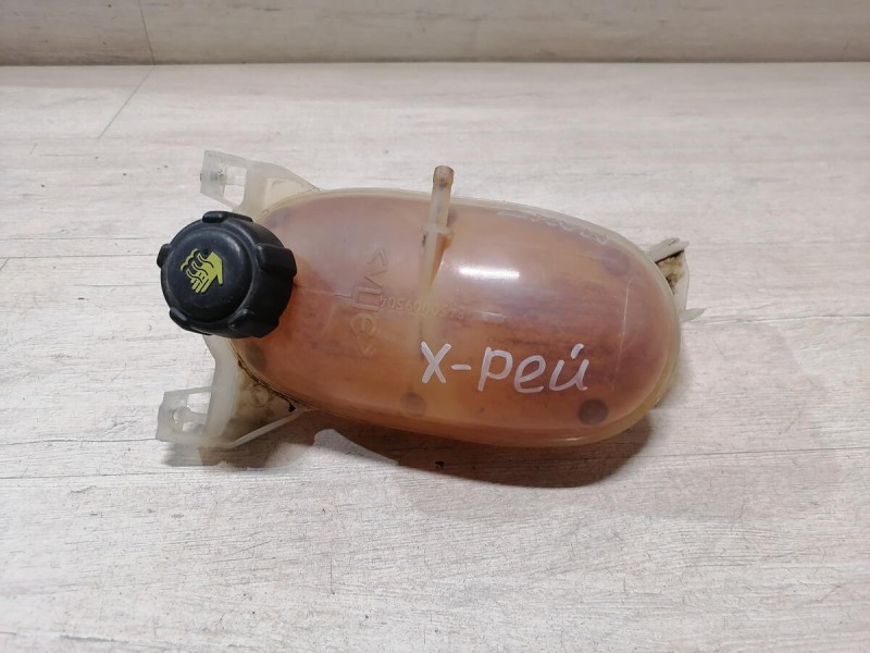 XRay 1 №1 бачок расширительный