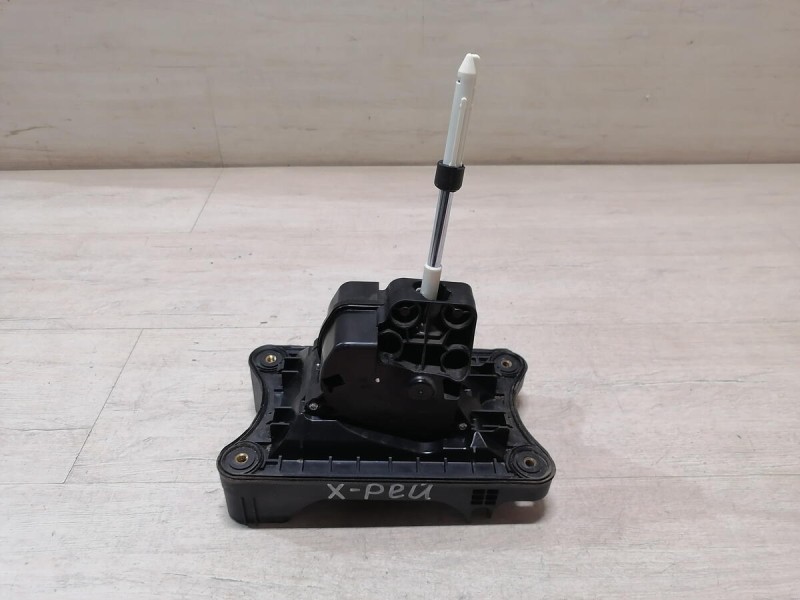 XRay 1 №1 кулиса РКПП